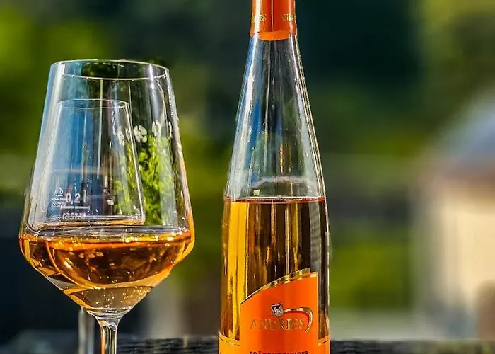 Appartement - Riesling Ambiente - Im Weingut Andries *